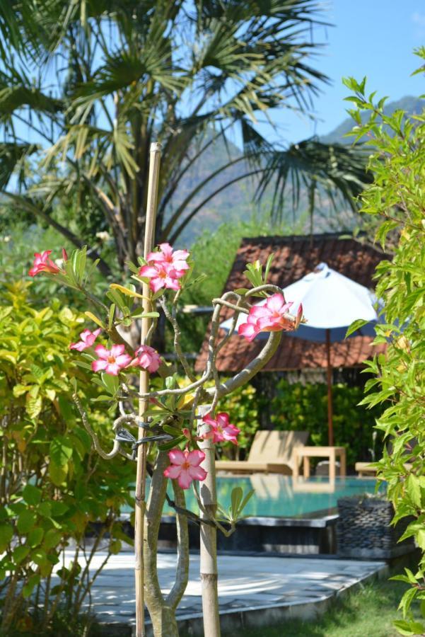 Sunia Loka Bungalows & Dive Center 페무테란 외부 사진