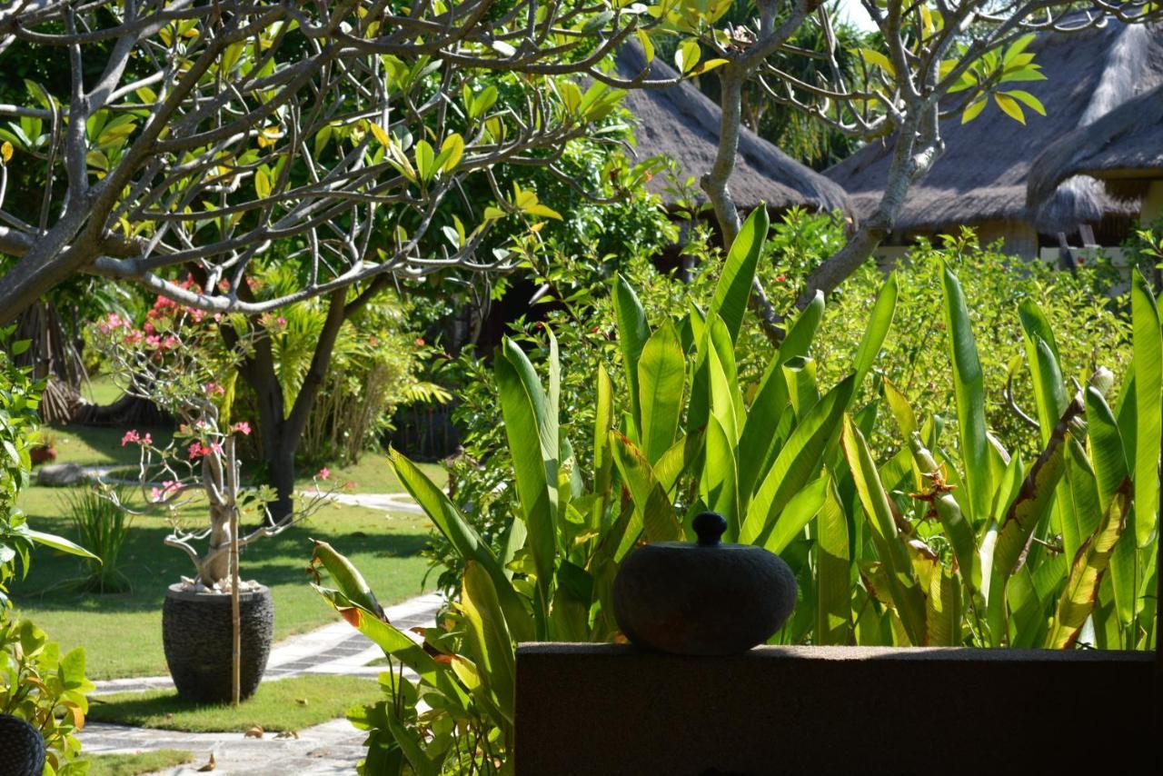 Sunia Loka Bungalows & Dive Center 페무테란 외부 사진